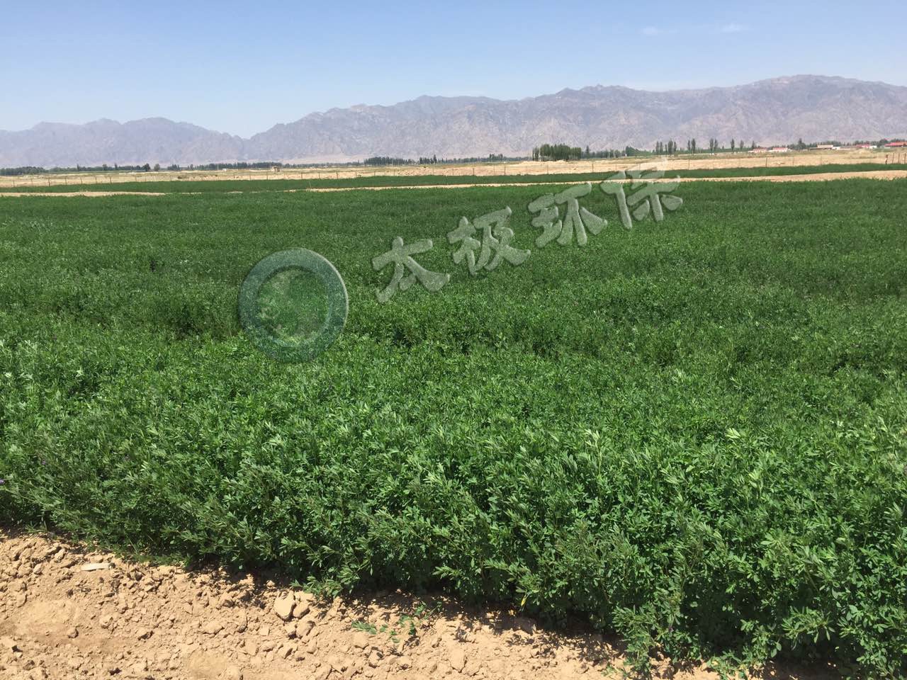 1569478080279190.jpg 1569478080279190.jpg