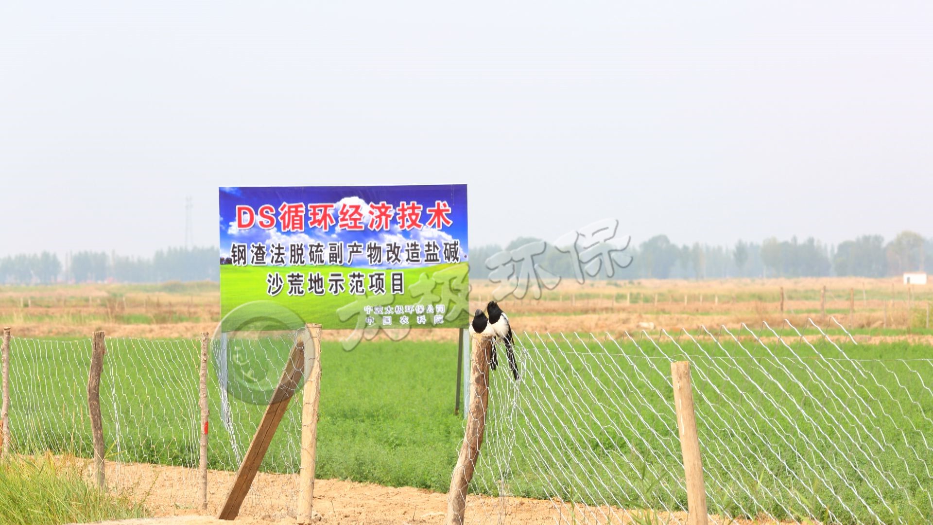 1569478797101339.jpg 1569478797101339.jpg